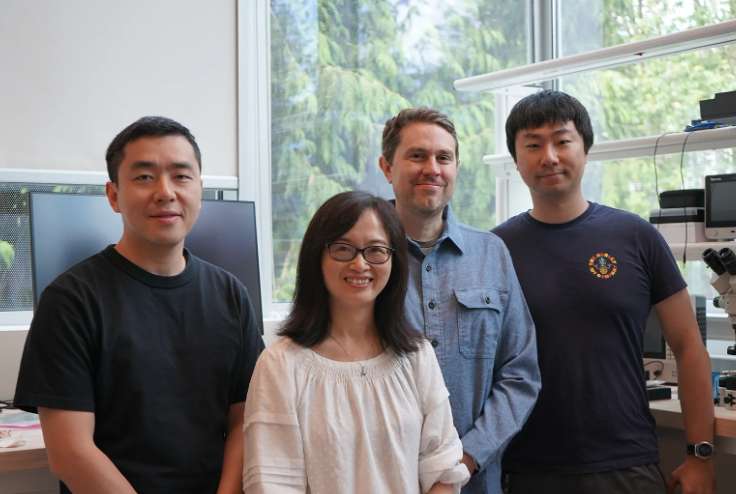 Meta Reality Labs发布Tiramisu与Boba3原型：突破VR显示技术边界