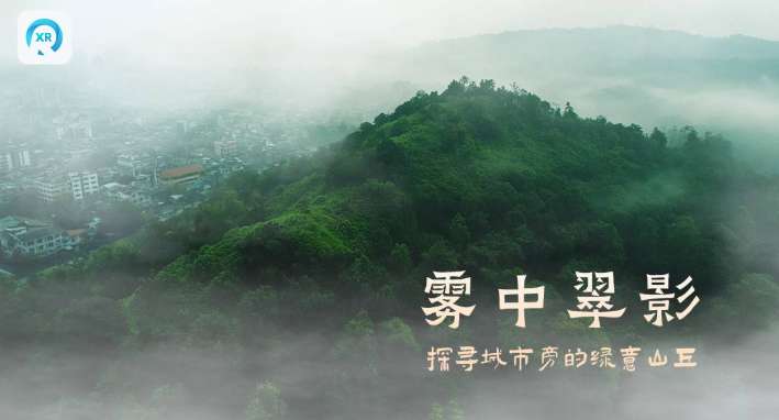 PICO视频8月上新：穿越机视角城市绿浪与数字雨林沉浸体验
