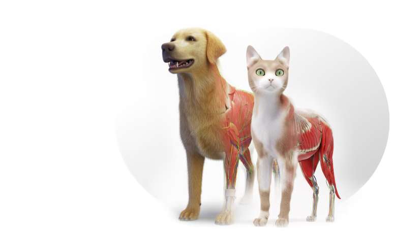 PlayStation VR Store每周新内容