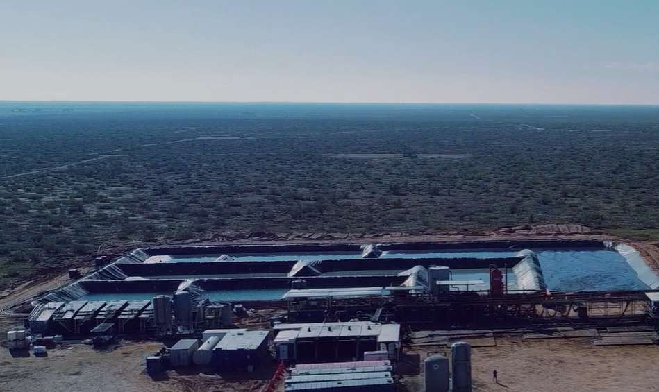 映维日报:VR爆款游戏《我是猫》成功秘诀,VR爆款游戏《动物公司》零营销预算法则