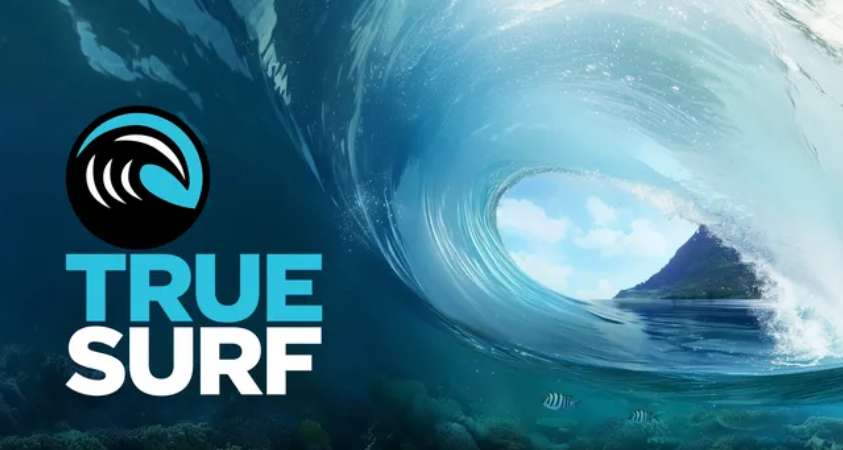 Meta Store 每周新内容