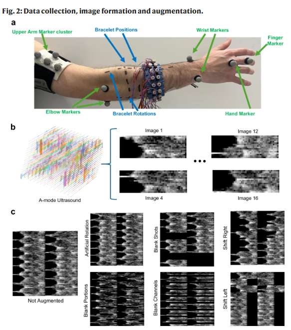 科学家研发无需训练、可跨用户通用的新型VR超声手环