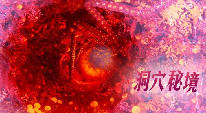 PICO视频上新:古风美女周芷若/全景寻味记/洞穴秘境