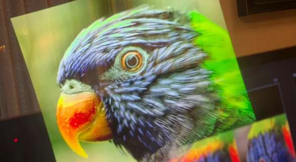 承诺提供全彩保真度,Lumus 70度视场智能眼镜初体验