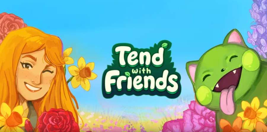 Meta Store 每周新内容