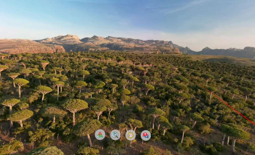 PICO Store每周新内容