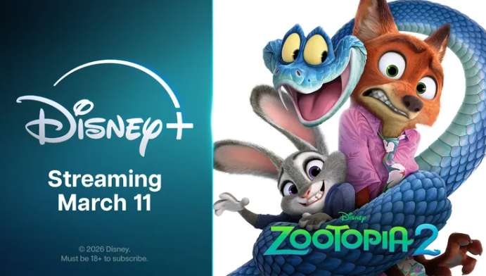 Meta Quest三月影视看点推荐