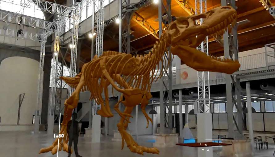 Meta Store每周新内容