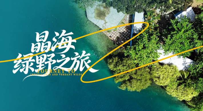 PICO视频上新：一米之内/蓝白格纹少女/晶海绿野之旅