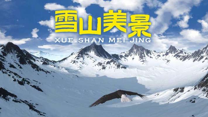 PICO视频上新：鸟类色彩/婚礼进行时/雪山美景