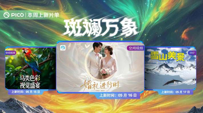 PICO视频上新：鸟类色彩/婚礼进行时/雪山美景
