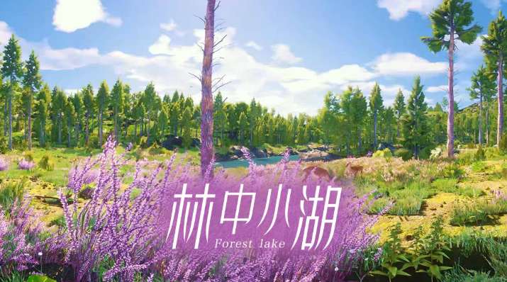 PICO视频上新:三味线/羽翼少女/林中小湖