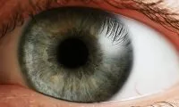 Eye_iris-thumb-standard