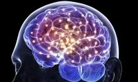 brain-actvity-720x340-thumb-standard
