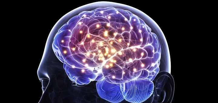 brain-actvity-720x340-thumb-standard