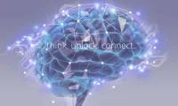 mindleap-800x420-thumb-standard