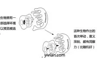 Kinds-of-Minds-thumb-standard