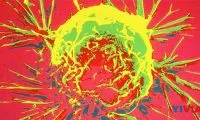 a3c95f8e5d4013c7f11015987ec1c333-thumb-standard