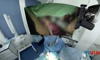 34e659a3c86c37396e7c52d82c0650e6-thumb-standard
