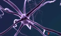 ef0f0a33468054e5749332d086e1b9b5-thumb-standard