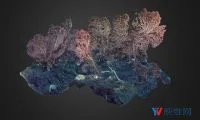 85c4d5942572ac992e91ca56594ac194-thumb-standard