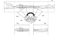 0ff0363c400217832cea475419de4186-thumb-standard