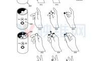 60a293fc92d368da52cf4c0ba91fde7e-thumb-standard