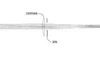 055db965173f6b3baa4745633b764355-thumb-standard