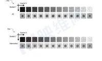 5a8d30af40d1d08f50de95a9f8413592-thumb-standard