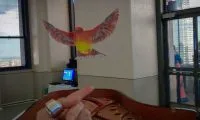 d4f6169f2857619099ff5ad42f79185d-thumb-standard
