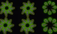 0a5eb234d3bc3cf2f5c5c7511d442605-thumb-standard