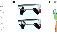 efcdb3402a1c8ffc630e4c096d621c30-thumb-standard