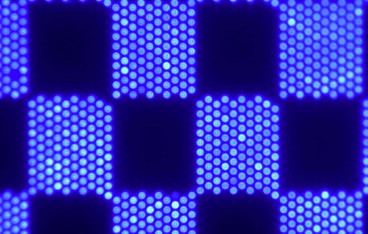 7990d5634be4ddff5269445a00f74658-thumb-standard