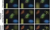 26da0d5920231a9b8cf278fd82ce568c-thumb-standard