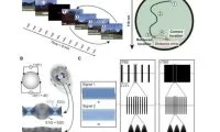 12fe824ca680fe182c927ad93173508a-thumb-standard