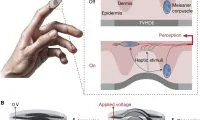 2fa11680dfc7155f7ea9431a71e3235a-thumb-standard