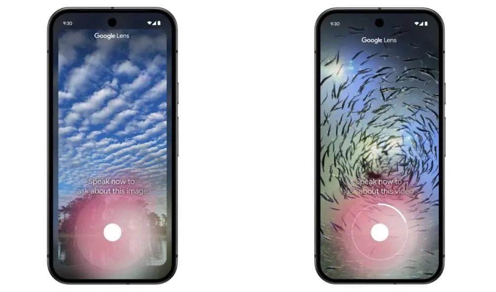 466d545a305890c9f87b2eebdc9c09c7-thumb-standard