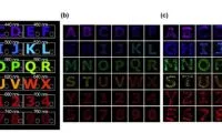 4dffb29beec4fcf8401b84d756032687-thumb-standard