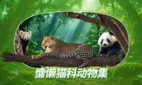 079caa461d429bef3aed8df1744d4b36-thumb-standard