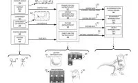 348618531cec52d1c44c7ef2052659b7-thumb-standard