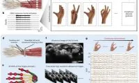 a20b19b60727b5e2ad209ad25a078a5c-thumb-standard