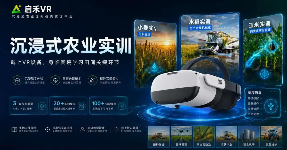 PICO Store每周新内容