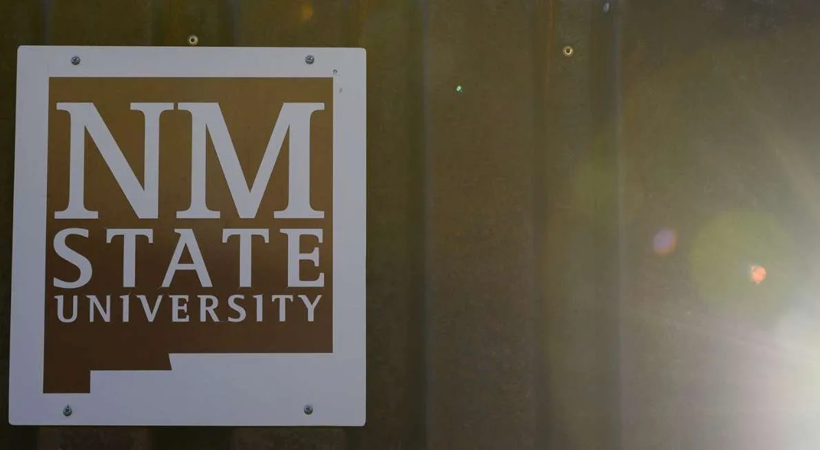 Meta资助，新墨西哥州立大学为中小学教师推出VR培训课程
