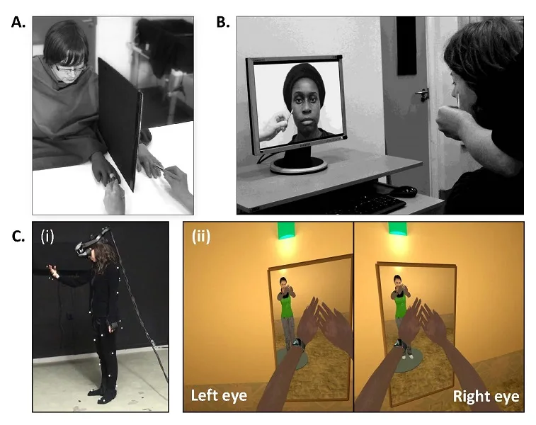 virtual-experiment