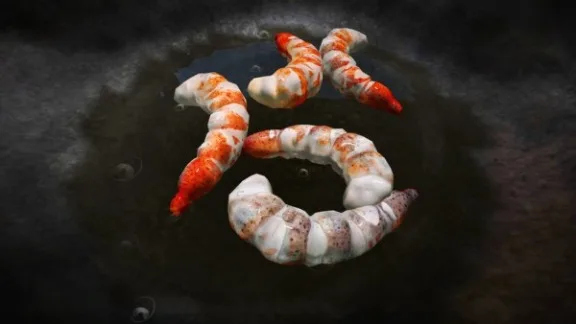 2015030106
