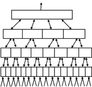 不可避免的生物性，大脑是个虚拟现实引擎