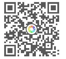 494772321663503803