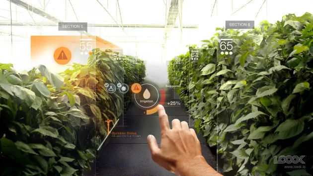 HoloLens前任创意总监成立新的全息计算工作室