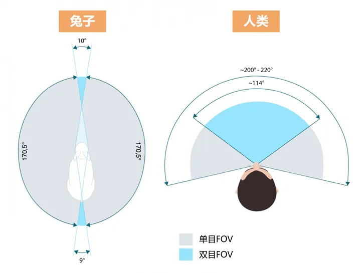 虚拟现实FOV视场工作原理及给头显带来的挑战