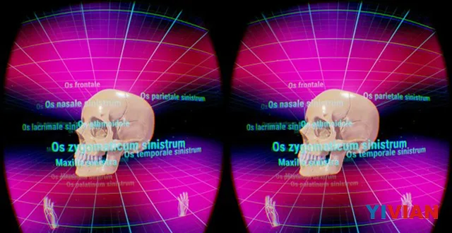 Vedavi发布虚拟现实版人体解剖软件